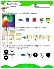 Zeka Gelişim Testleri